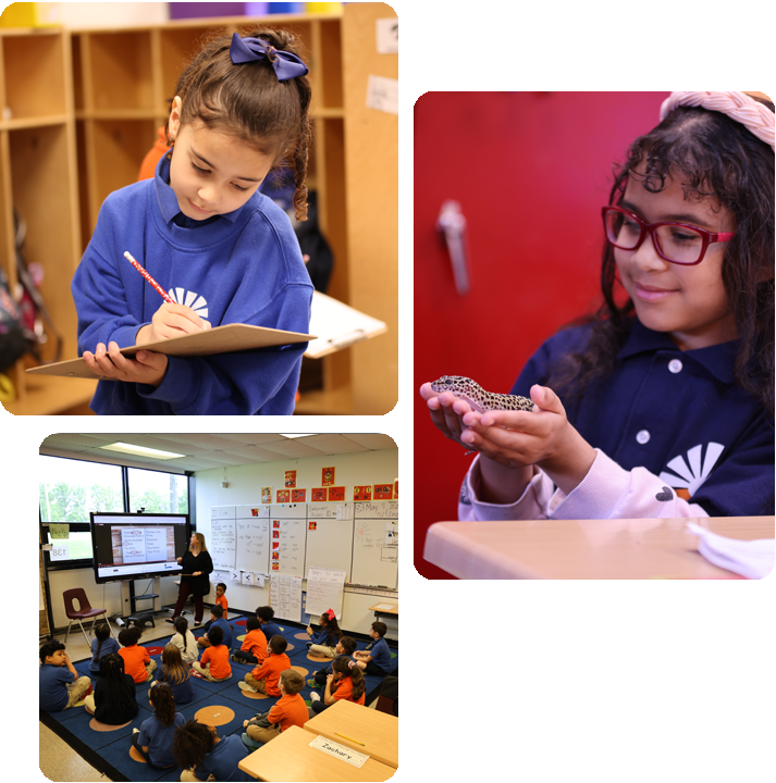 Students engaged in various activities in a science lab, showcasing teamwork and experimentation